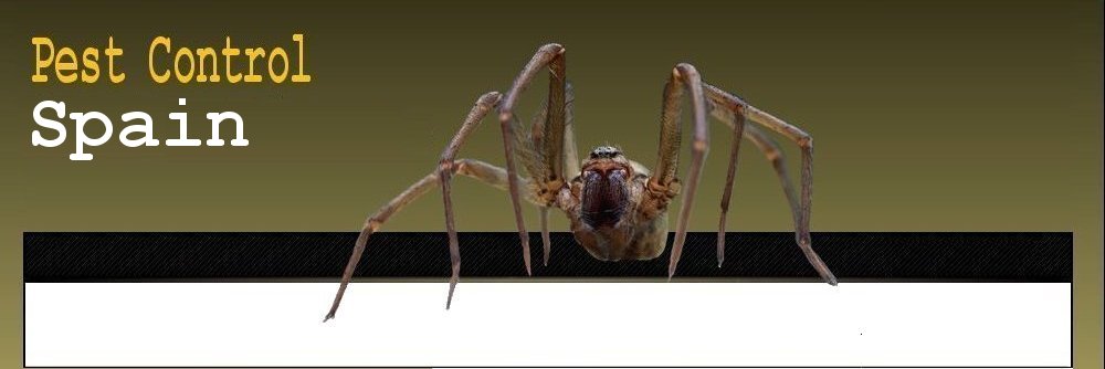 Pest Control Spain