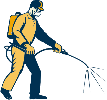 Pest Control. Pest Control Company